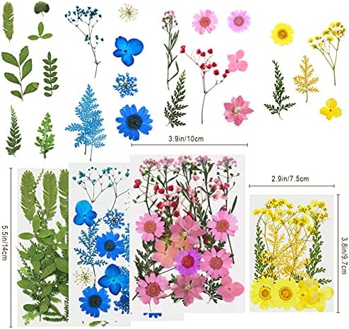 Gerçek Kurutulmuş Preslenmiş Çiçekler Yapraklar Kiti, Kurutulmuş Çiçekler Karışık Yapraklar ve Yaprakları-Reçine Aksesuarları