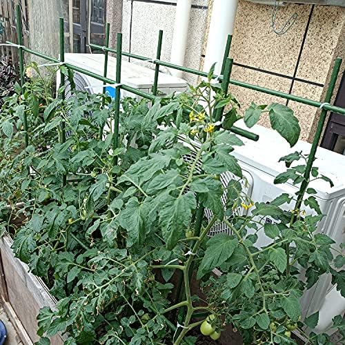 5Ft 25 Adet Bitki Stakes Bahçe Domates Çubukları Saksı Salatalık Çilek Fasulye için Destekler