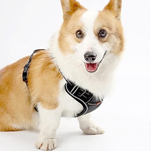 HJQ Pet Köpek Yelek Koşum Ayarlanabilir Kayış Yansıtıcı Yelek Choke Olmadan Yavru ve Küçük Köpekler Önde Gelen Orta Ölçekli Köpek