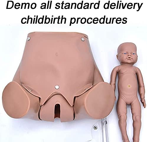 Kadın Pelvis Modeli Doğum, Doğum Simülatörü,Ebelik Eğitim Modeli ile Bebek Modelleri,Rahim,Amniyotik Kesesi,Pelvis, ve Plasenta/Göbek