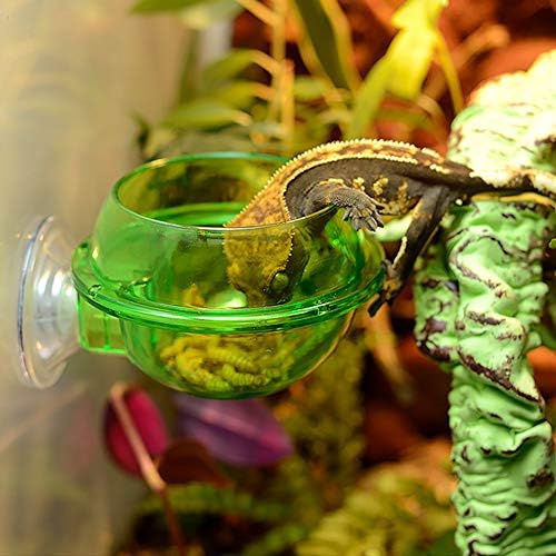 bizofft Sürüngenler Kase, Besleyici, Plastik Vantuz Kertenkele Sürüngenler Kaplumbağa için Kaliteli Plastik